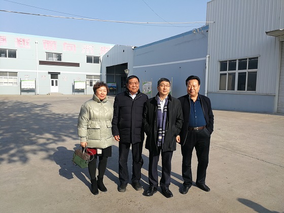 魯商集團(tuán)總經(jīng)理凌沛學(xué)先生來公司考察合作交流-海隆達(dá)